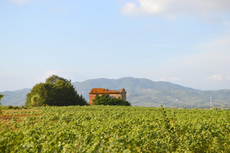 Casa Silvestri. I tedeschi vi assassinarono 13 persone e vi appiccarono il fuoco.