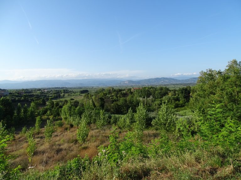 Il Padule e la Valdinievole
