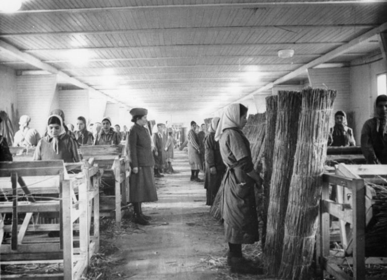 Prigionieri rom ai lavori forzati nel campo di concentramento di Ravensbruck (Germania) tra il 1941 e il 1944 (fonte: Enciclopedia dell’Olocausto)